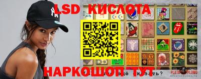 ПСИЛОЦИБИНОВЫЕ ГРИБЫ Ставрополь