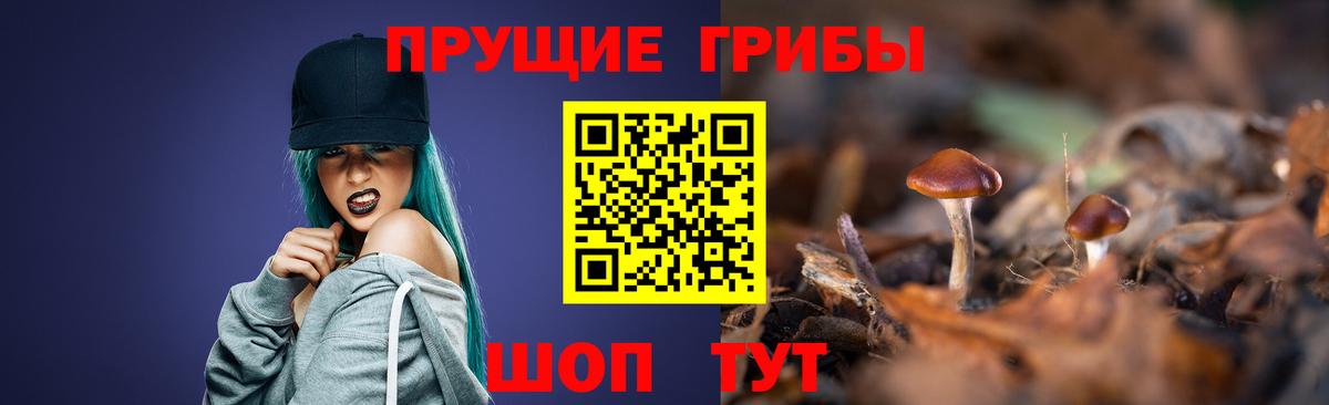 Галлюциногенные грибы Cubensis Богородск